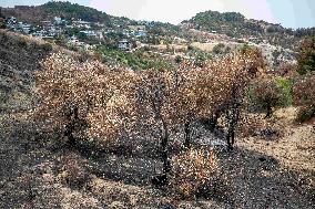 Fires and Land Disputes in Dikmece - Turkey