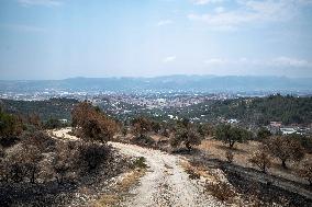 Fires and Land Disputes in Dikmece - Turkey