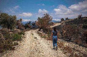Fires and Land Disputes in Dikmece - Turkey