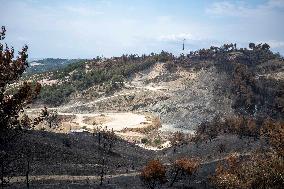 Fires and Land Disputes in Dikmece - Turkey