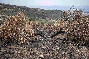 Fires and Land Disputes in Dikmece - Turkey