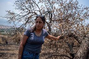 Fires and Land Disputes in Dikmece - Turkey