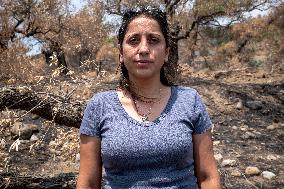 Fires and Land Disputes in Dikmece - Turkey