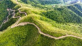 Liupan Mountains Ecological Barrier - China