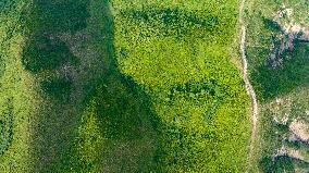 Liupan Mountains Ecological Barrier - China