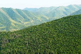 Liupan Mountains Ecological Barrier - China