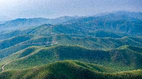 Liupan Mountains Ecological Barrier - China