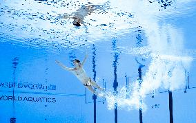 World Aquatics Championships Artistic Swimming Men Solo - Singapore
