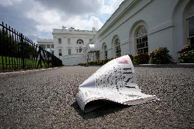 Illustration - Wall Street Journal at the White House - Washington