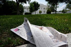 Illustration - Wall Street Journal at the White House - Washington