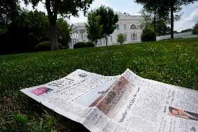 Illustration - Wall Street Journal at the White House - Washington