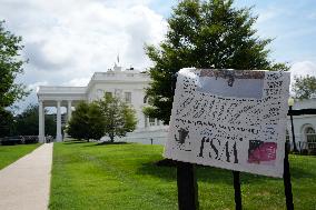 Illustration - Wall Street Journal at the White House - Washington