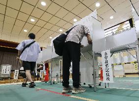 Upper house election in Japan