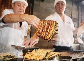 Eel-eating day in Japan