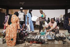Nouakchott City Daily Life - Mauritania