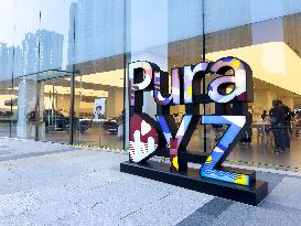 Pura DYZ Art Installation
