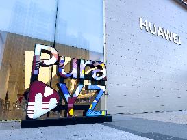 Pura DYZ Art Installation
