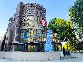 CHAGEE Store