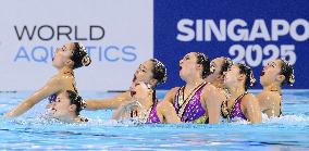World aquatics championships