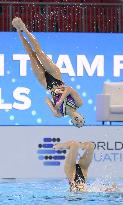 World aquatics championships