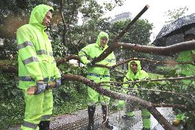 Typhoon Wipha - China