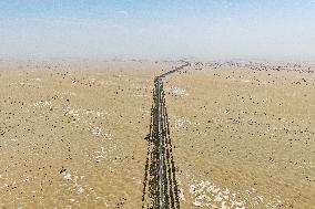 Tarim Desert Highway - China