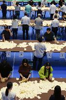 Upper house election in Japan
