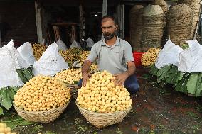 Burmese Grapes in Narsingdi Orchard - Bangladesh