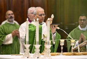 Pope Leo XIV leads Holy Mass - Albano