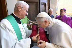Pope Leo XIV leads Holy Mass - Albano