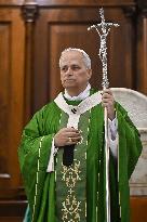 Pope Leo XIV leads Holy Mass - Albano