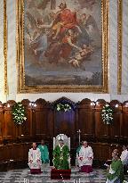 Pope Leo XIV Leads Holy Mass at the Cathedral of Albano - Italy