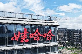 Wahaha Office Building in Hangzhou