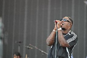 Lollapalooza  Festival - Joe Dwet File - Paris