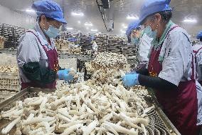 Lyophyllum Decastes Processing in Lianyungang