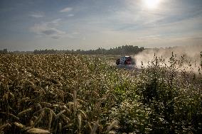 WRC Rally Estonia