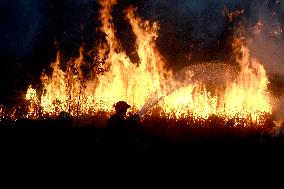 Peatland Fire - Indonesia