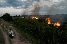 Peatland Fire - Indonesia