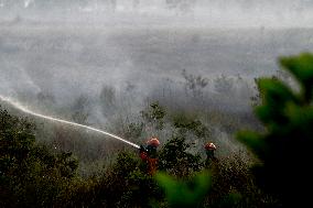 Peatland Fire - Indonesia