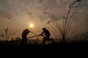 Peatland Fire - Indonesia