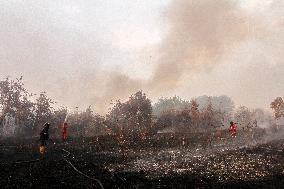 Peatland Fire - Indonesia