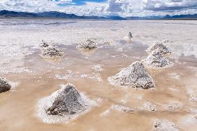 Salt Harvesting And Processing - China