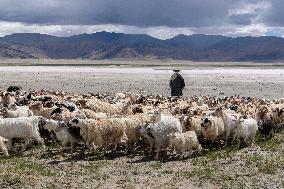 Salt Harvesting And Processing - China