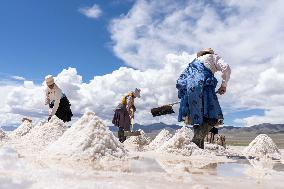 Salt Harvesting And Processing - China