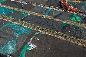 Yangtze River Wharf Coal Storage Yard