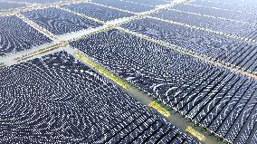 Tidal Flat PV