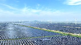 Tidal Flat PV