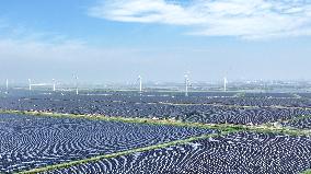 Tidal Flat PV