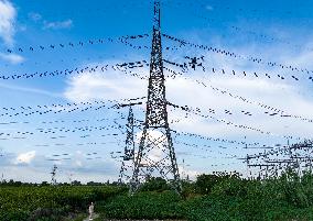 2025 H1 Electricity Consumption Increased  in China