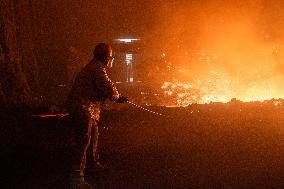 China Iron And Steel Industry